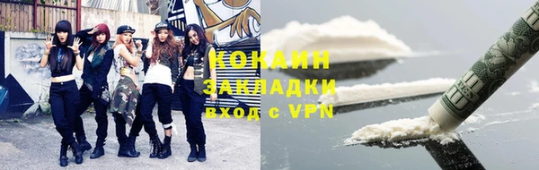 индика Верхний Тагил