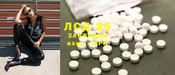 индика Верхний Тагил