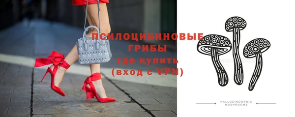 индика Верхний Тагил
