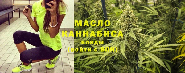 индика Верхний Тагил