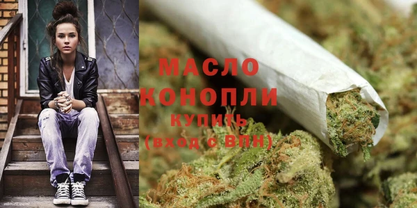 индика Верхний Тагил