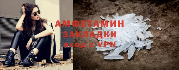 индика Верхний Тагил