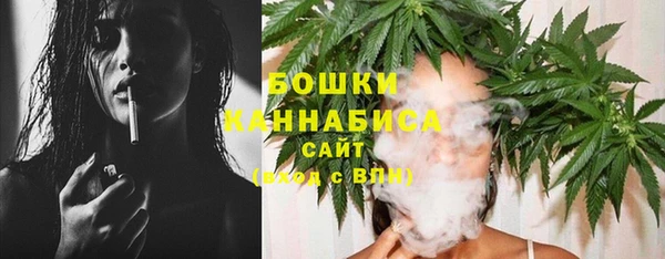 индика Верхний Тагил