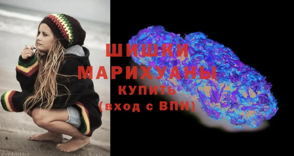 индика Верхний Тагил